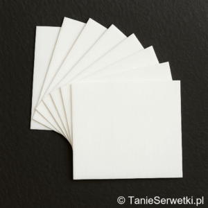 Serwetki gastronomiczne 24×24 cm białe 2-warstwowe 1/4 – 500 sztuk