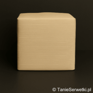 Serwetki gastronomiczne brązowe 33×33 cm ekologiczne 1-warstwowe 1/4 – 500 sztuk